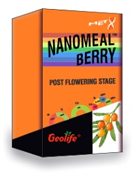 Nanomeal Berry
