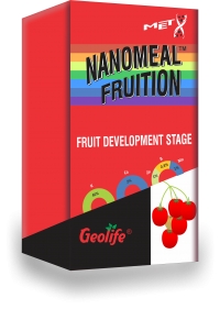Nanomeal Fruition