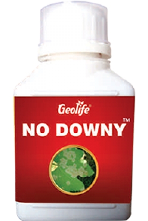 No Downy