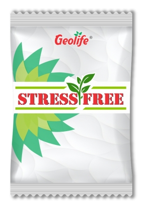 Stress Free™