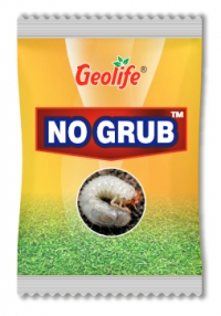 No Grub