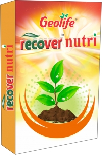 Recover Nutri
