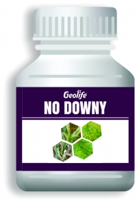 No Downy