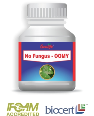 No Fungus - OOMY™