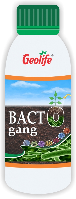 Bactogang®