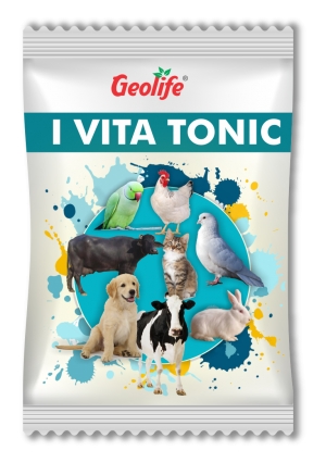 I-Vita Tonic