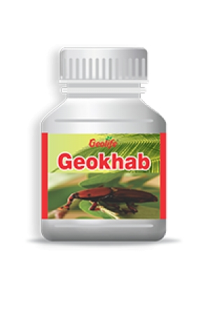 Geokhab